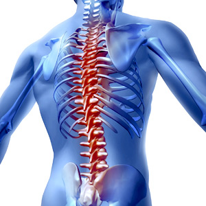 can chiropractors help with circulation