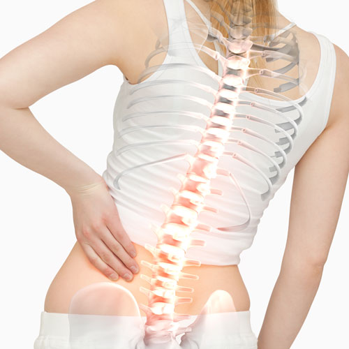 Chiropractor Can Help Scoliosis